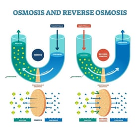 reverse osmosis desalination